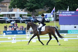 215 VINCI DE LA VIGNE JRA