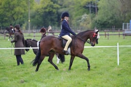 102-106 Open Ridden SP & SHP