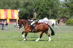C34_1052 2026