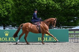 A31_1143 2026