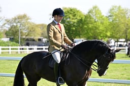 52 M&M Confined Novice Welsh C & D