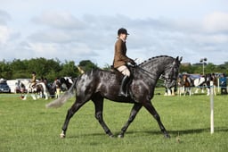 E36_0362 2026