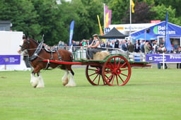 H44_1264 2026