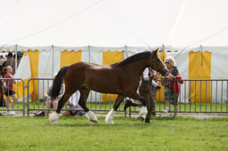 E34_2501 2026
