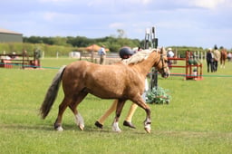 J36_7730 2026