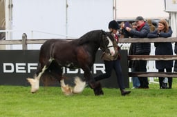 S28_9645 2026
