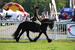 W33_0650 2026