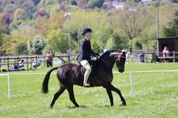 C19_1562 2026