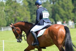 135 REVELS VALENTINO