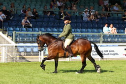 E68_3495 2026
