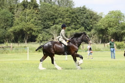 E36_1761 2026