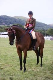 H206-205 HOYS RIDING HORSE CHAMPIONSHIP
