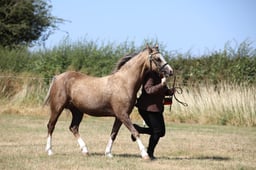 H60_0479 2026