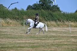 S60_0615 2026