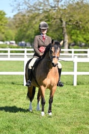 A19_4551 2026