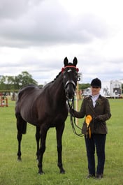 J36_5788 2026