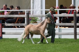 S28_8762 2026