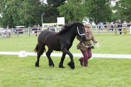 W29_1003 2026