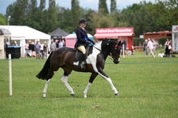 N36_0904 2026
