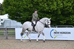 A29_1661 2026