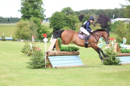 T40_7386 2026
