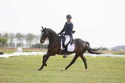 B15_0748 2026