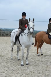 Class 104 LIHS Rising Star Small & Lwt Hunter