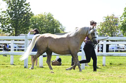S19_7606 2026
