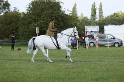 E36_2141 2026