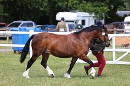 Z43_5710 2026