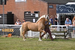 A69_1015 2026
