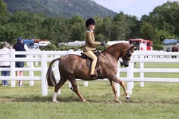 E42_0584 2026