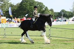 E33_0507 2026