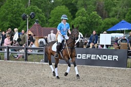 43 Polo Pony