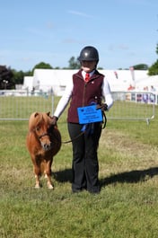 Young Handlers & Stockman