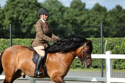 H17 Novice Ridden Dales Fell High