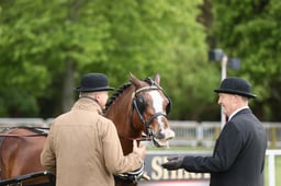 E28_3099 2026