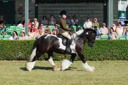 S61_0400 2026