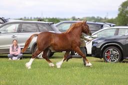 J36_5518 2026