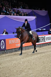 Show Hunter Championships