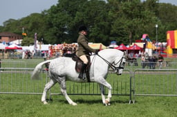 C34_1024 2026