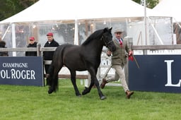 W29_0714 2026