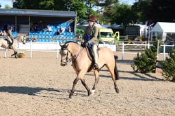 F46_4621 2026