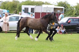 J36_6700 2026