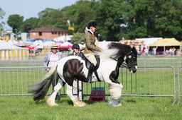 C33_0663 2026