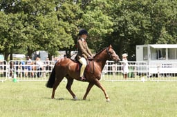 L42_9071 2026