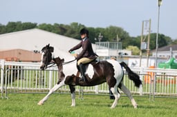 C34_0540 2026