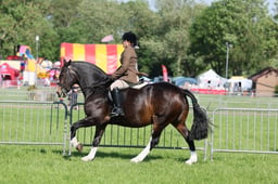 C33_0694 2026