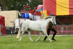 E34_2894 2026
