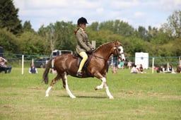 W36_1817 2026